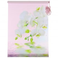 Рулонная штора «Орхидея» 55х160 см, Розовый