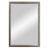 Зеркало 500х400 мм Макао серебро