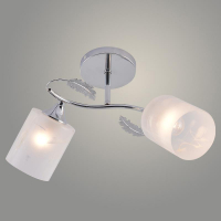 Люстра 2 плафона XA1639/2 CR хром