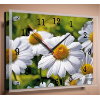 Часы настенные В1451, 25х35см